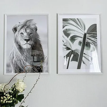 דירה Le Raphaelle - Centre