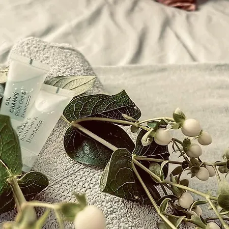 דירה Le Raphaelle - Centre *